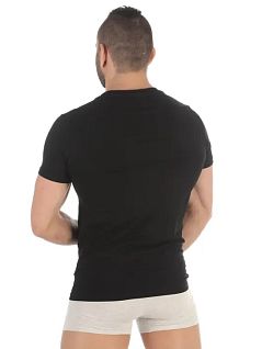 Набор однотонных футболок (черный, серый) (2шт) Emporio Armani RT111267_CC717 03320